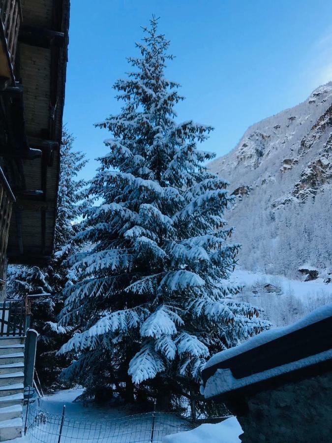 Casa Vacanze Nora Chamois Kültér fotó